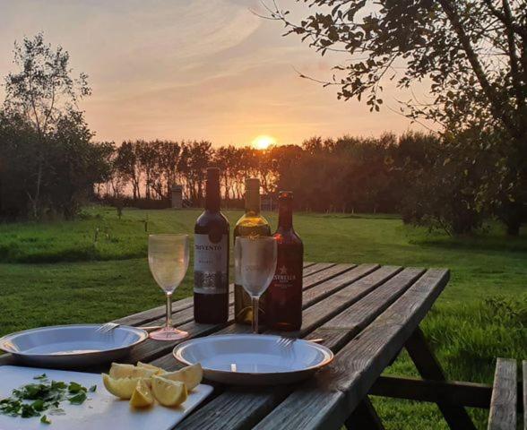 Mill Haven Place Glamping-Yurt 2 ฮาเวอร์ฟอร์ดเวสต์ ภายนอก รูปภาพ