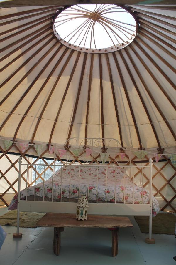 Mill Haven Place Glamping-Yurt 2 ฮาเวอร์ฟอร์ดเวสต์ ภายนอก รูปภาพ