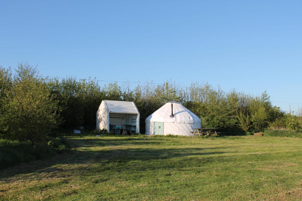 Mill Haven Place Glamping-Yurt 2 ฮาเวอร์ฟอร์ดเวสต์ ภายนอก รูปภาพ